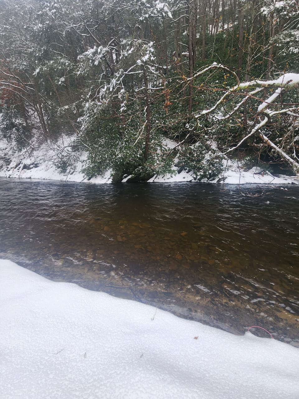 Winter Scenes