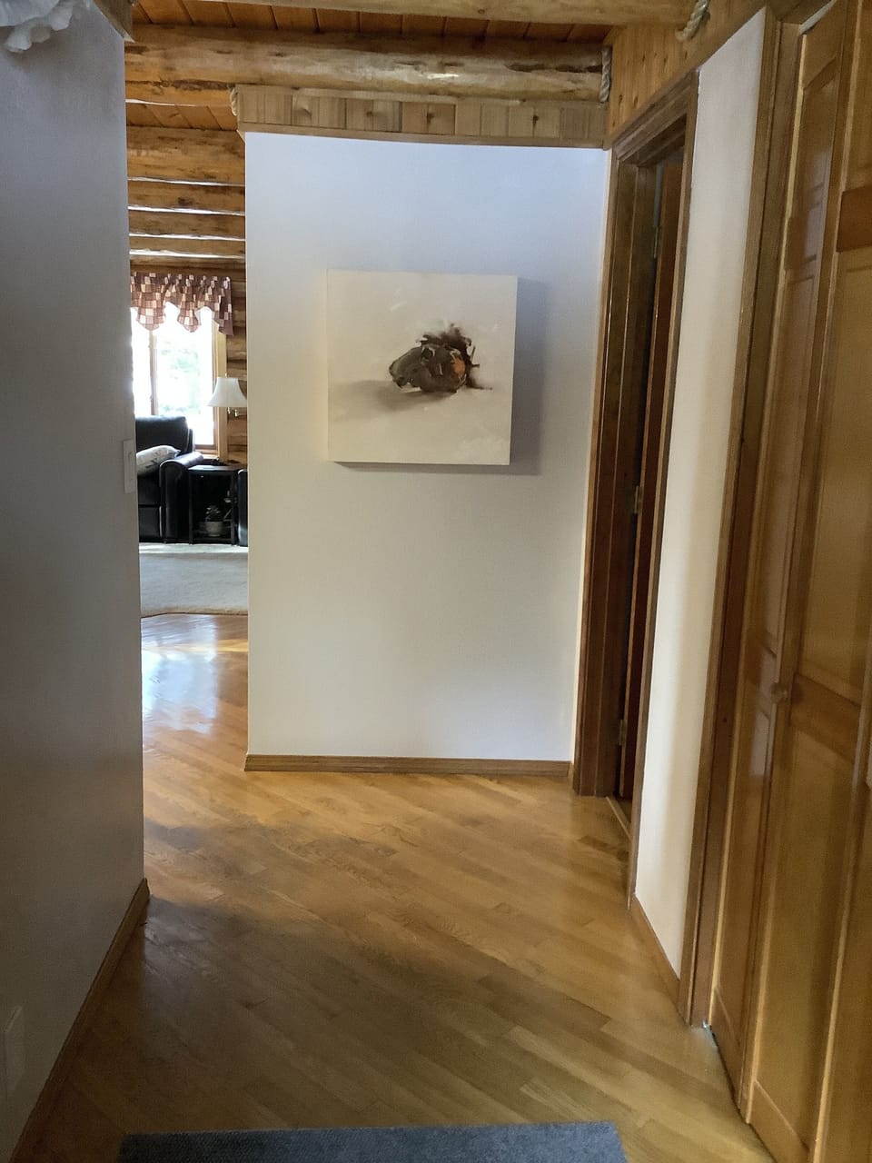 Hallway, entryway, view 2