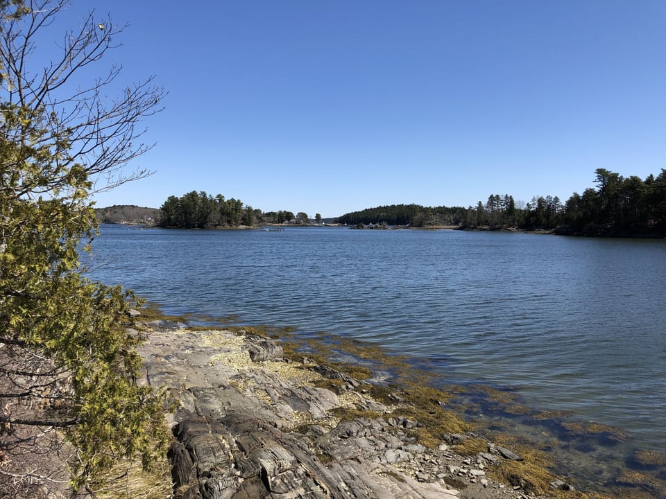 A beautiful view looking down Card Cove.