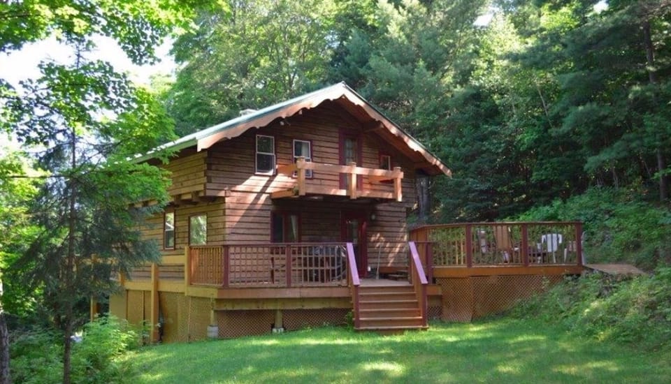 From the well wooded back yard.