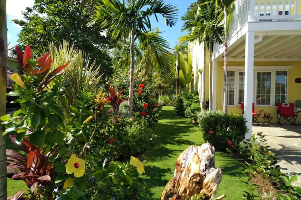 VSJ has lush tropical garden, even an aloe plant to soothe those sun burns.