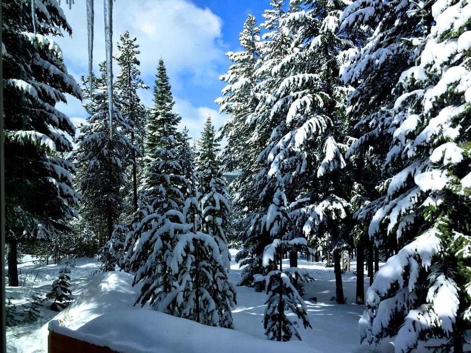 Winter view from the cabin dining room window