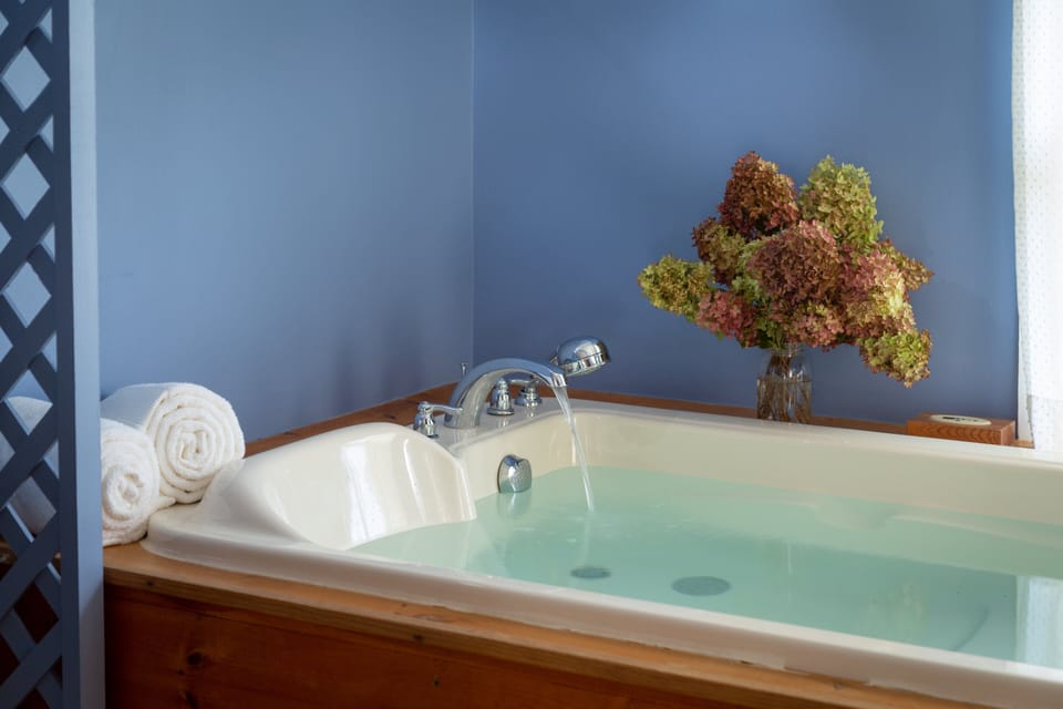  Large double BainUltra air jetted whirlpool tub