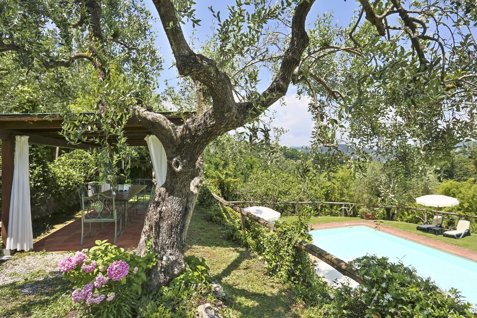 pool area (shared)
