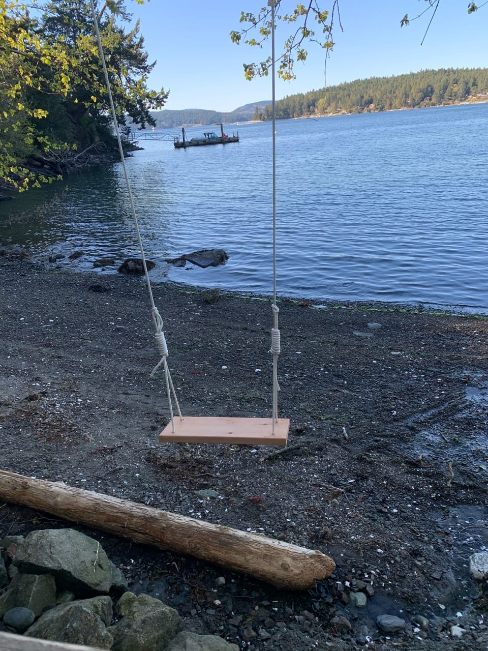 This secret gem of a beach is a short walk from our house. Shells and sailboats.