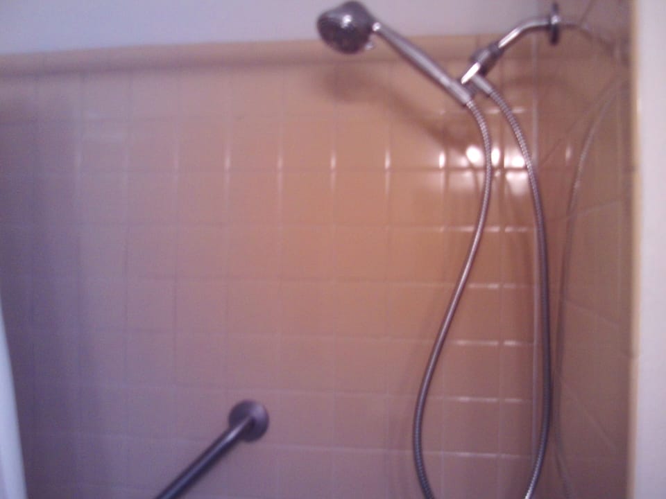 Hand-Held Shower