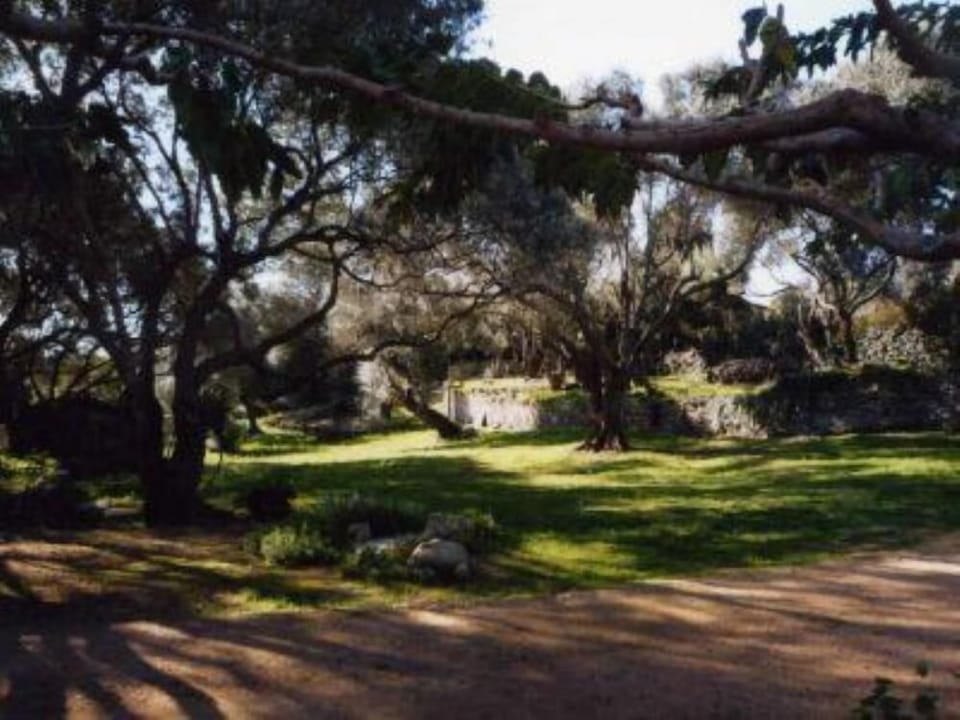 Garden, Park