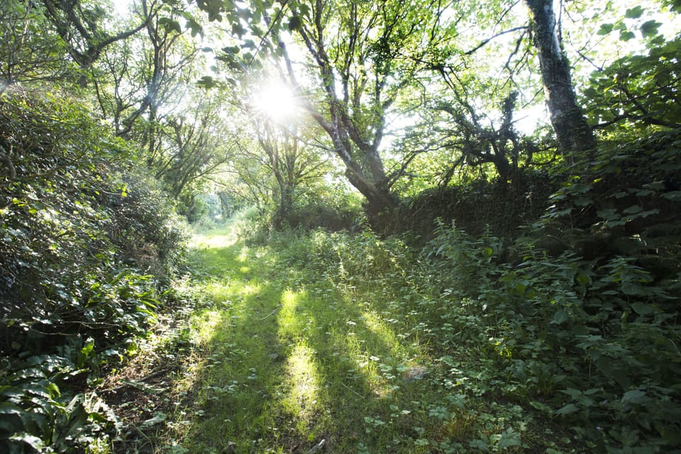 Bridleway running just down from the property