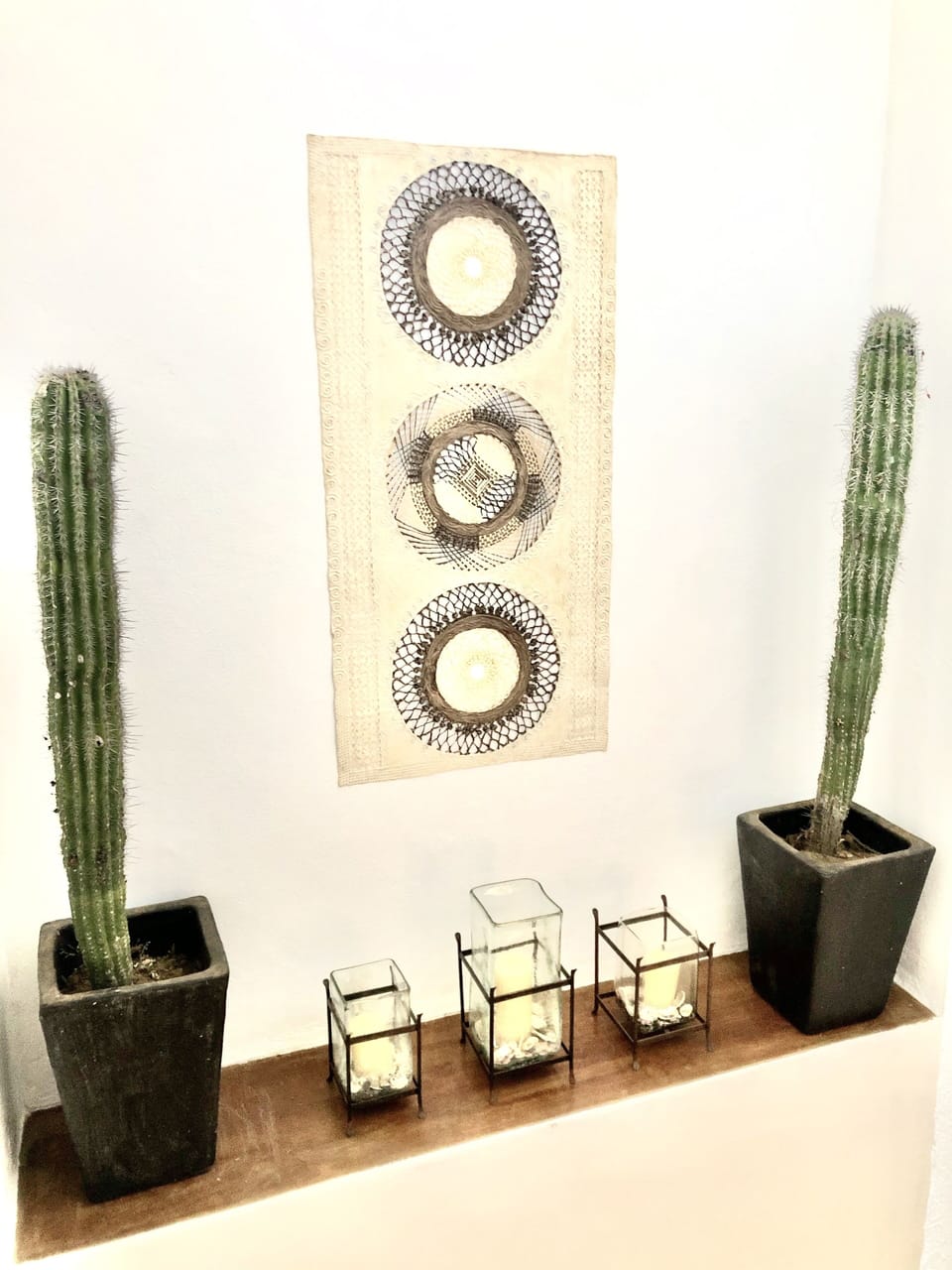 It wouldnt be a Mexican Casa without live cactus throughout.