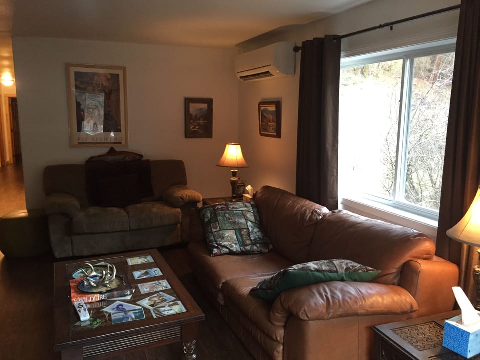 Living Room (Down Stairs)