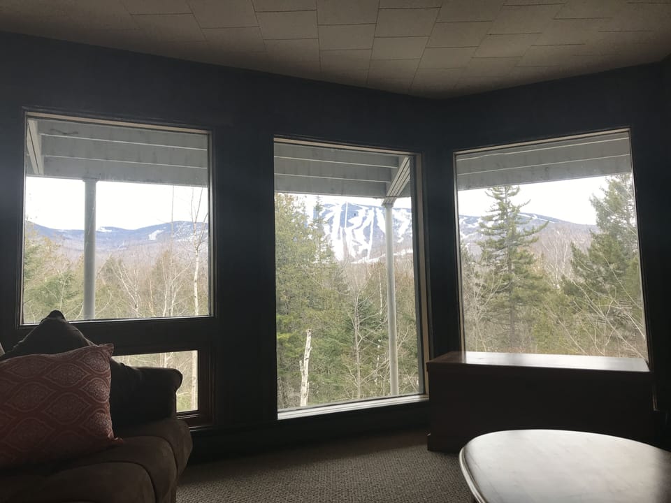Living Room View