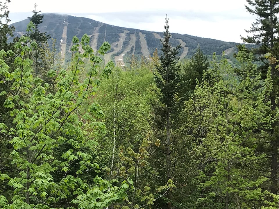  View from living room 