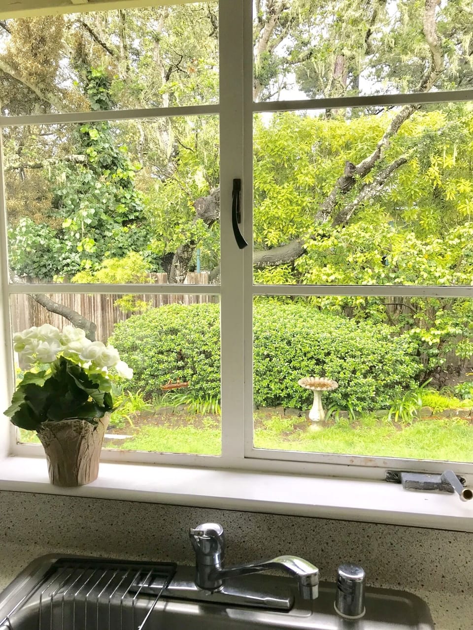 Garden view from kitchen window