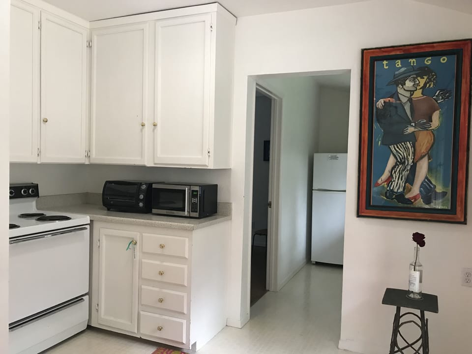 Kitchen with stove, microwave and toaster oven. Painting by Argentine artist