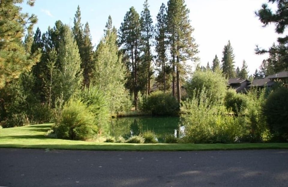 Pond directly across the street