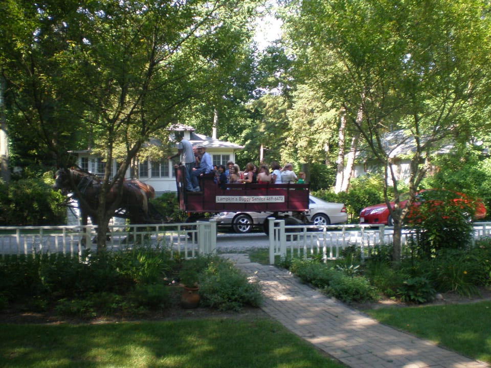 a local gentlemen rents his horse and buggy for hay rides or sleigh rides very i