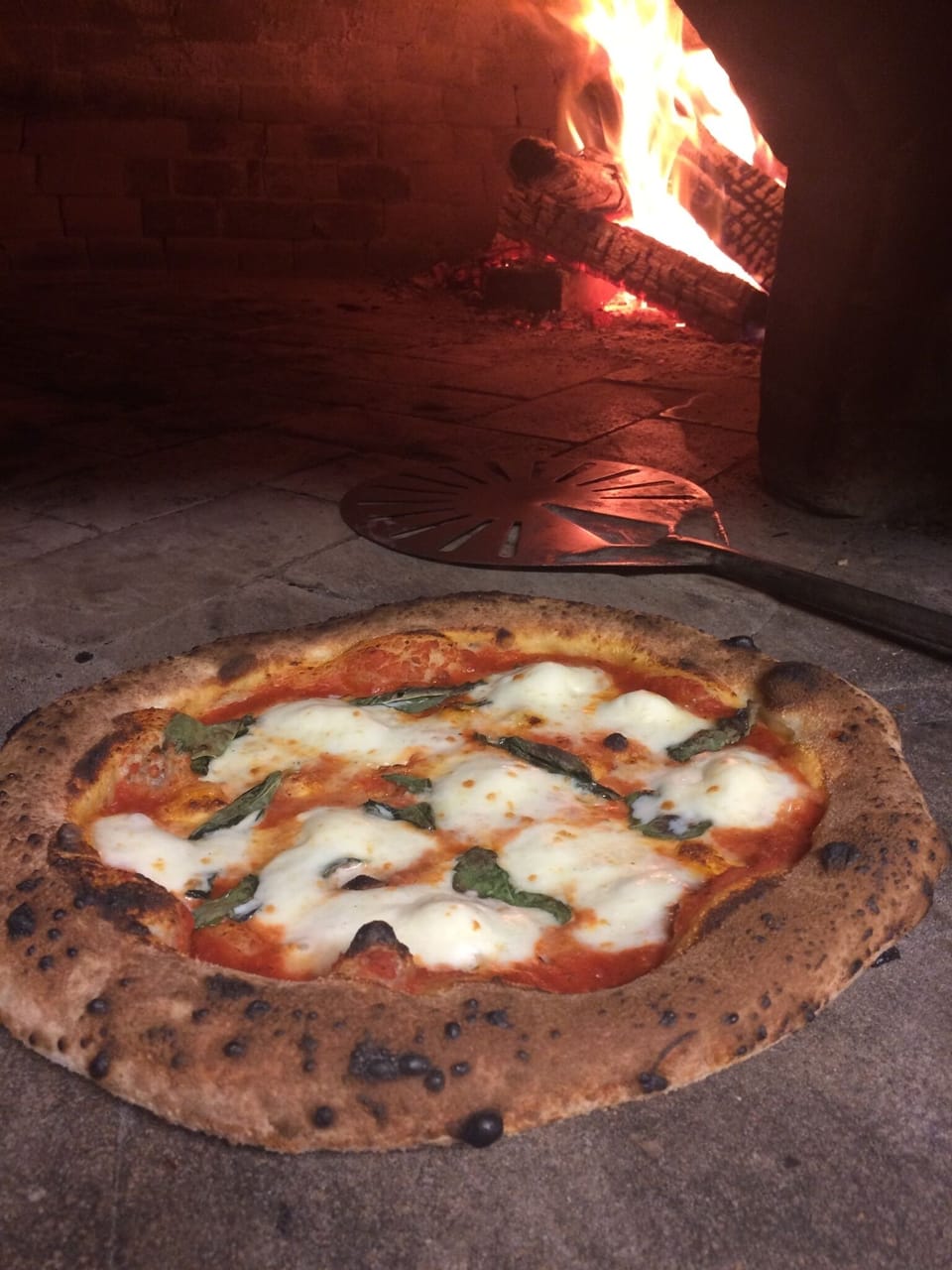 Tribecca allie wood fired pizza! Just around the corner 