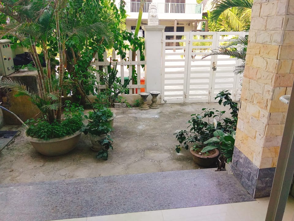 Front yard