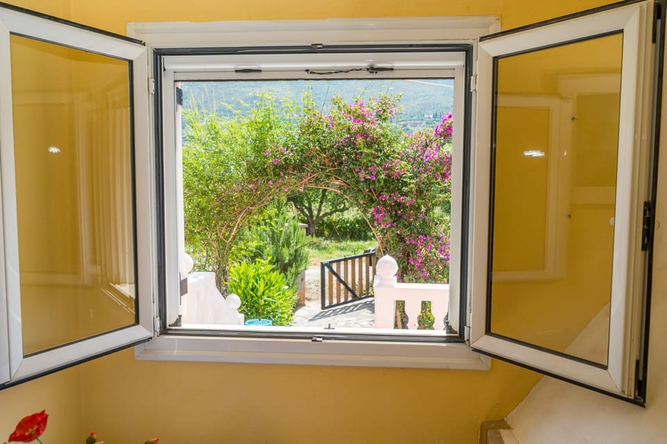 A room with a view