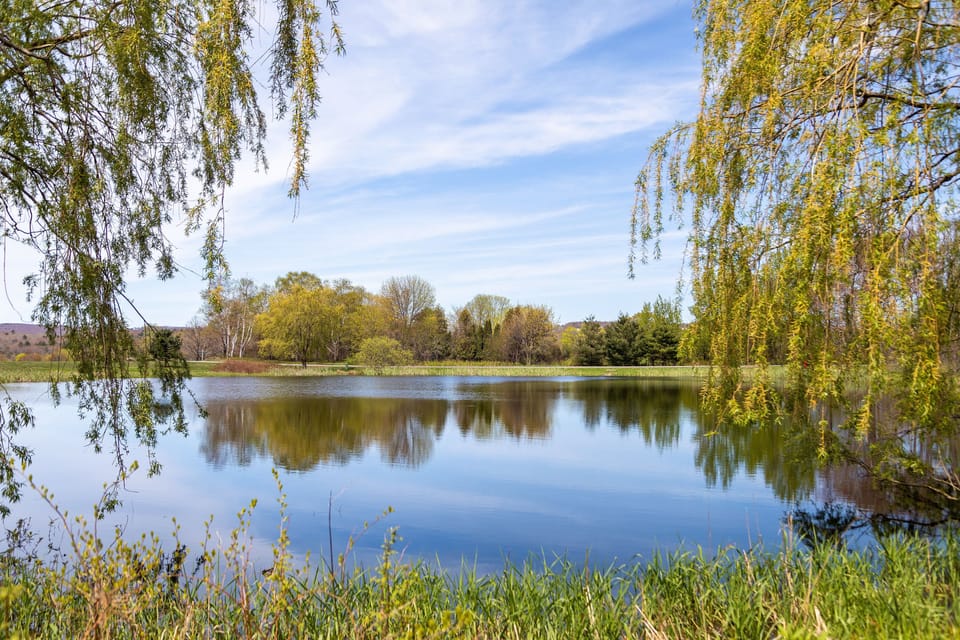 Beautiful pond on the west side of manor house...view of pond from guest bath
