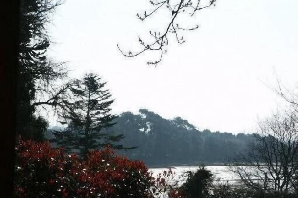 Very comfortable villa in a quiet, sea view, greenery. House in Fouesnant