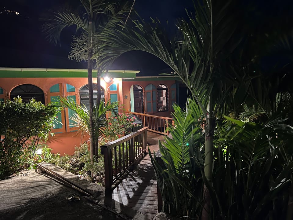 Tropical gardens attract many hummingbirds.