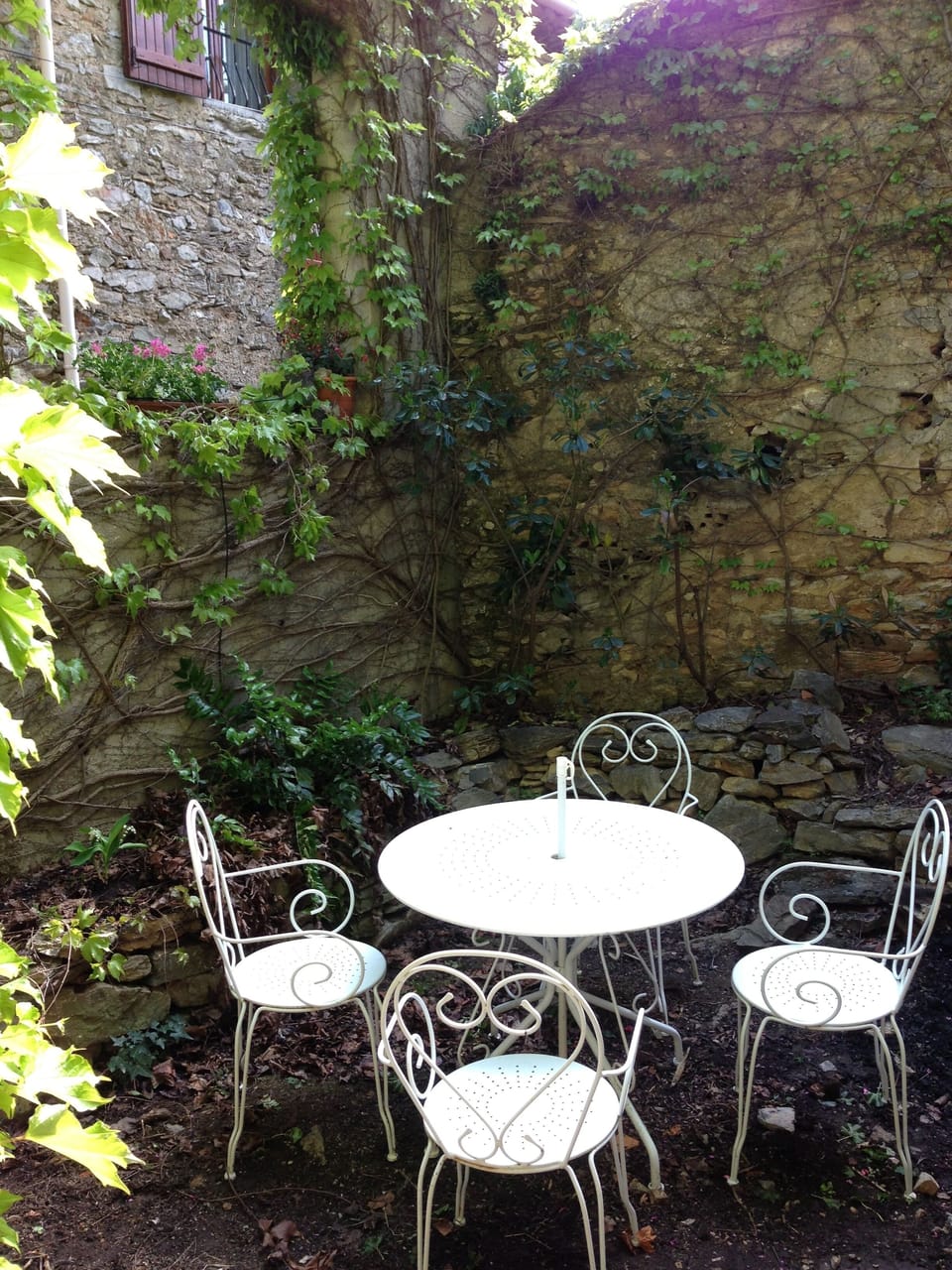 Our walled garden is wonderful in the summer