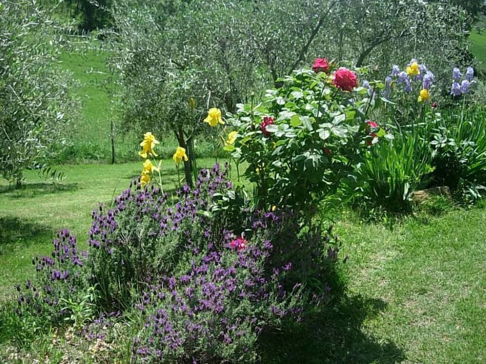 Garden, Park