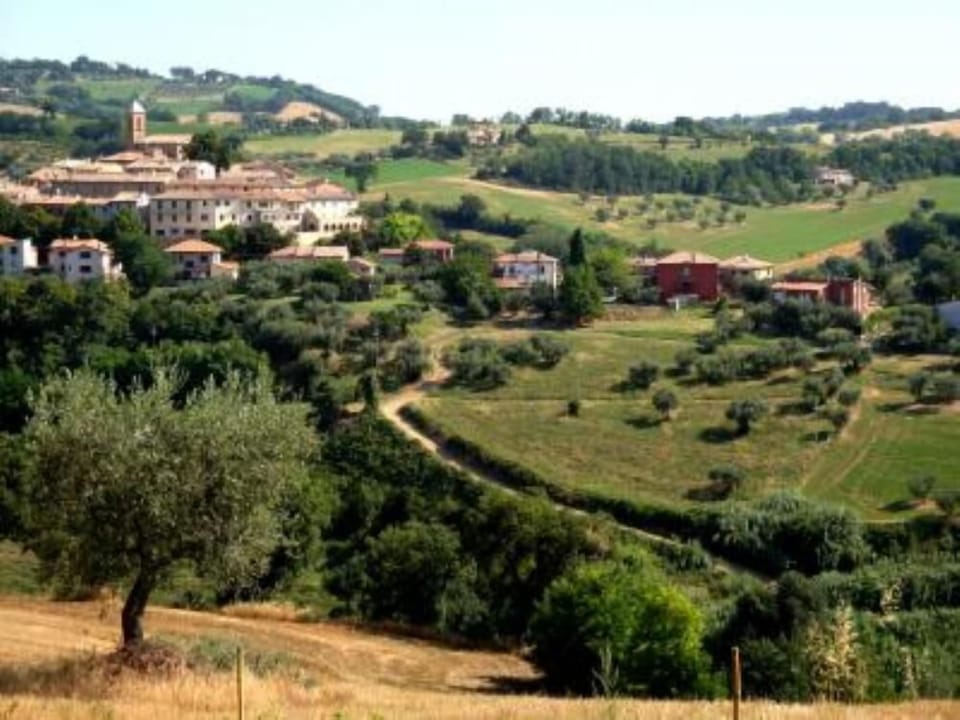 Overview