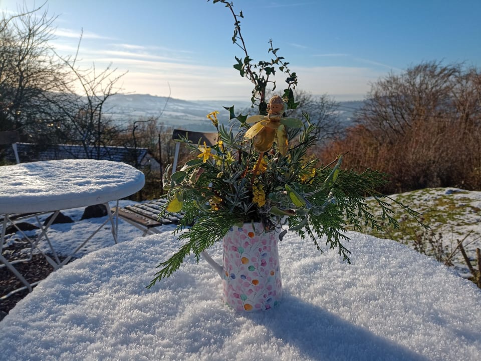 Winter view from the patio
