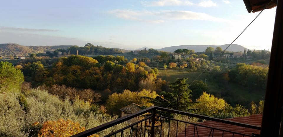 Vista