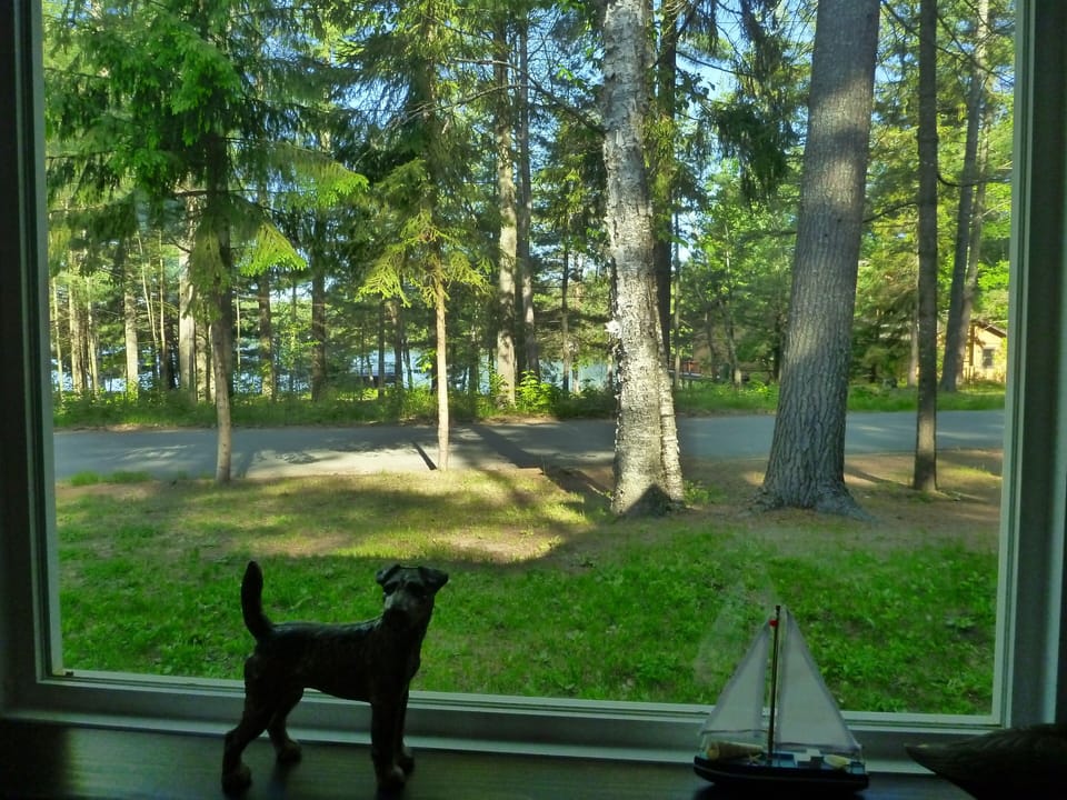 View of lake from living room window.
