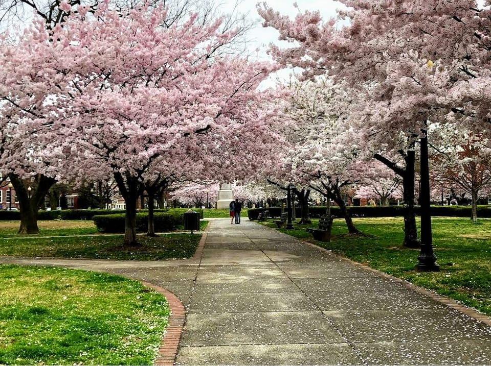 Stanton Park