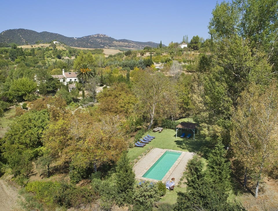property viewed from the pool