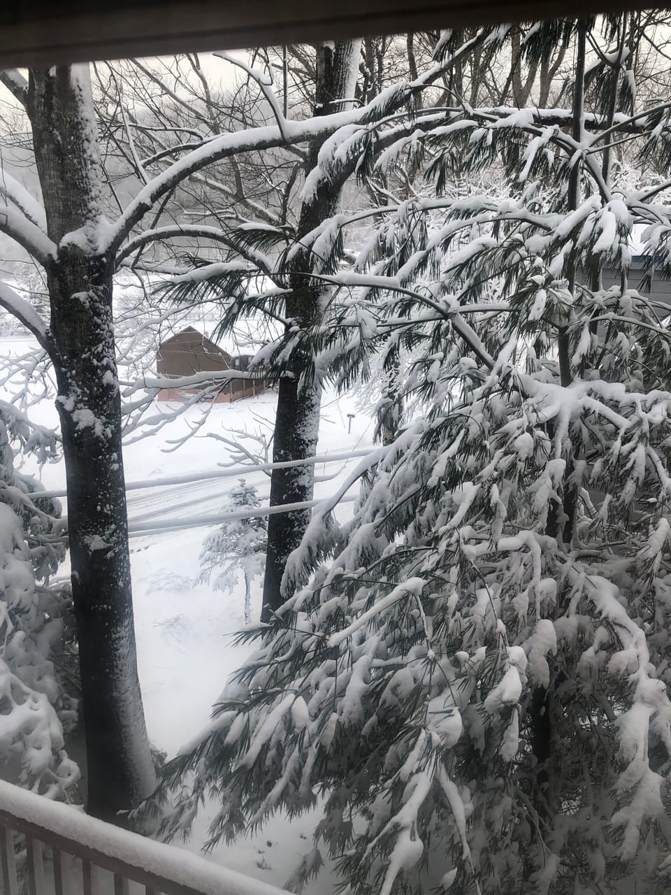 View from property