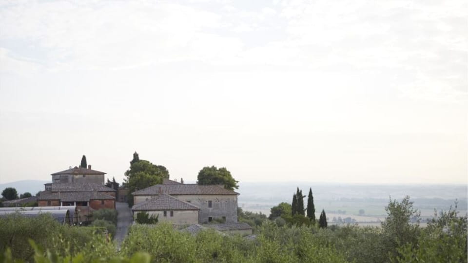 The estate