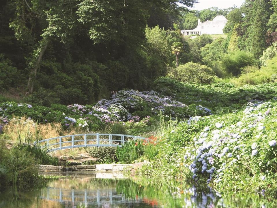 The Grounds
