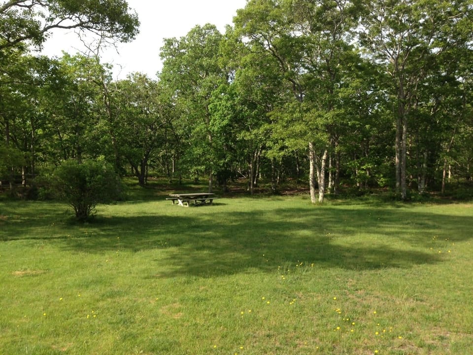 Backyard.  Your own park for picnics.
