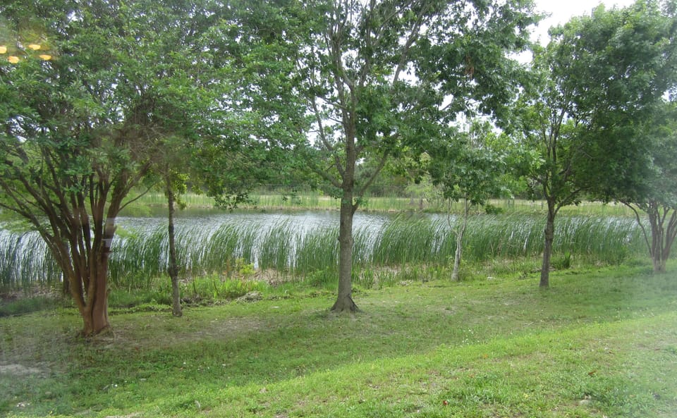 Rear view of lake
