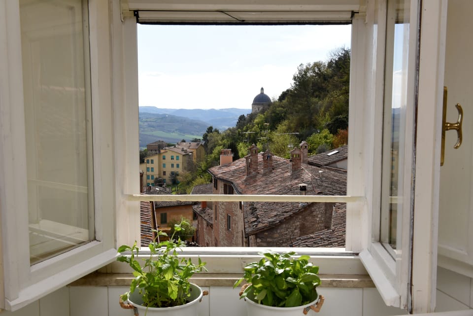 View from the kitchen