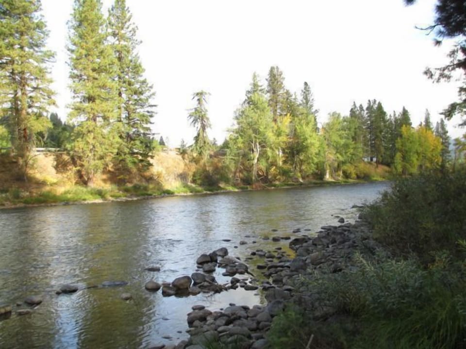 View from back yard