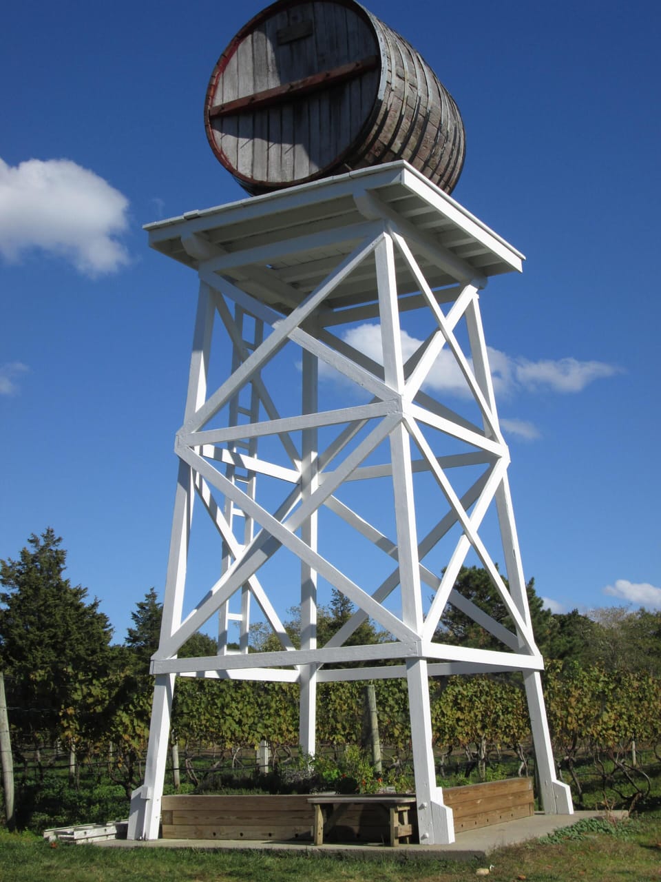 Area Photo