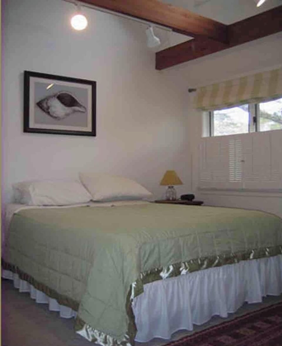 Downstair Bedroom