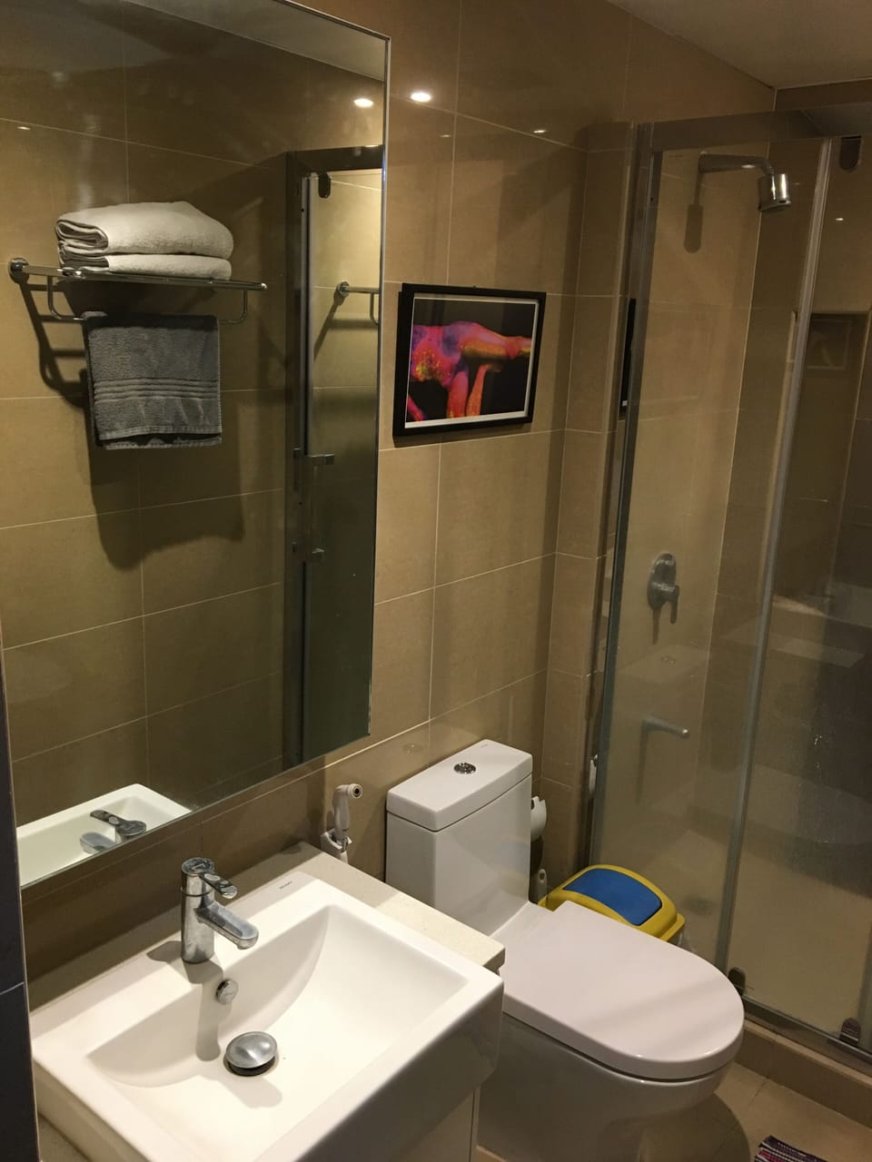 Toilet and shower
