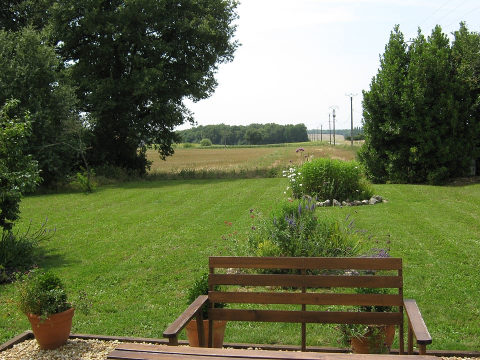 View from patio