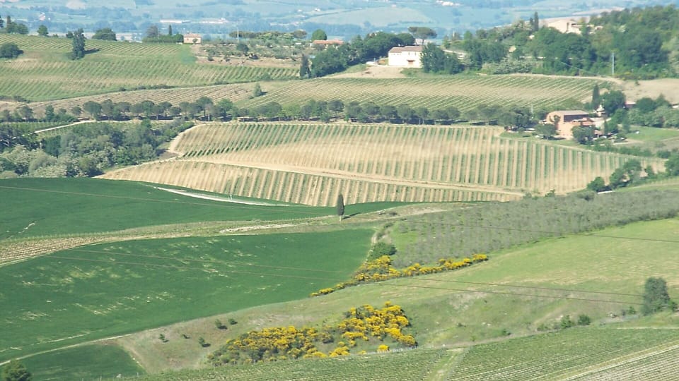 Stunning and Enormous 3 Bedroom Apt. in Historical Center of Montepulciano Apartment in Montepulciano