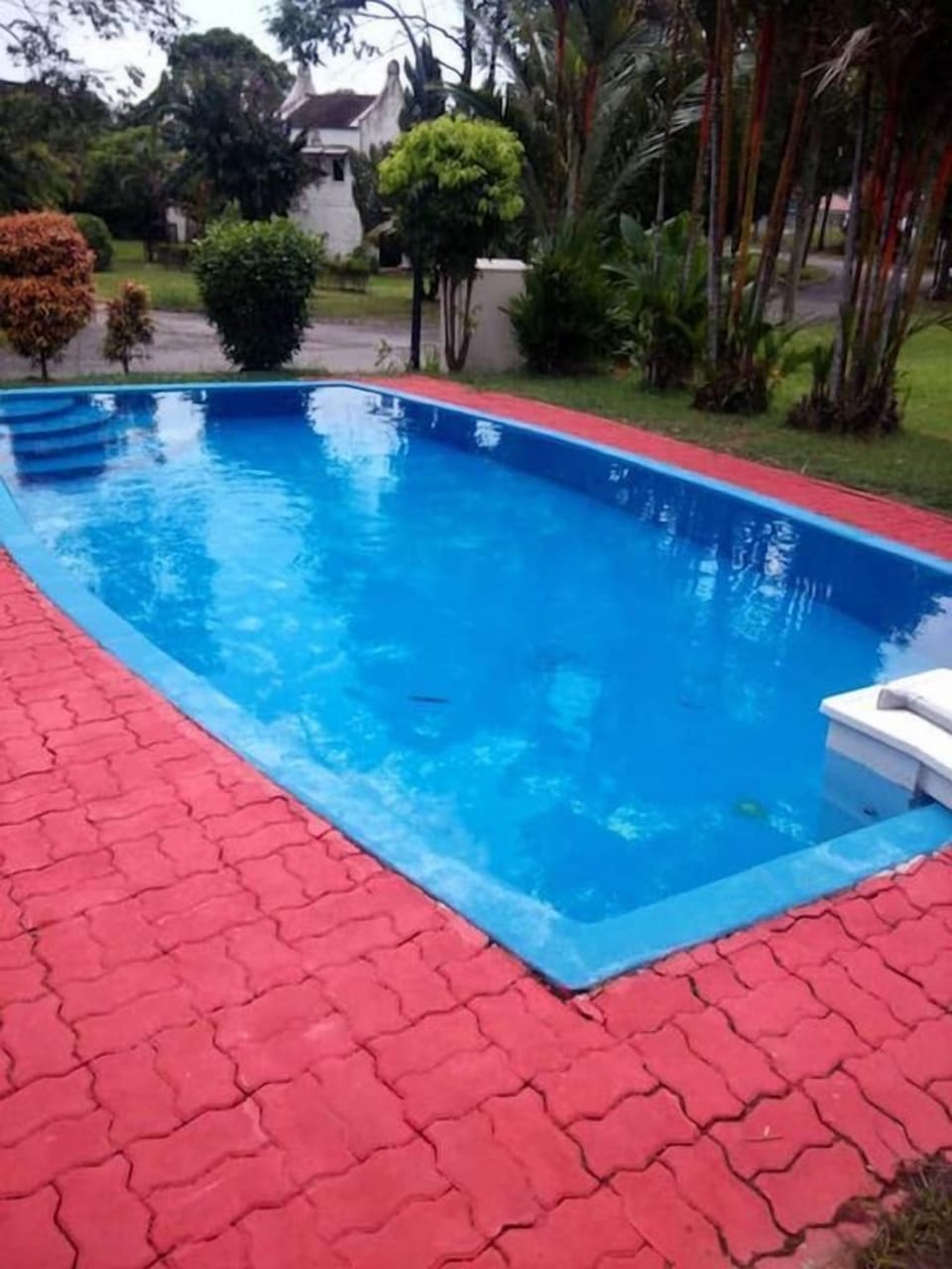 pool view
