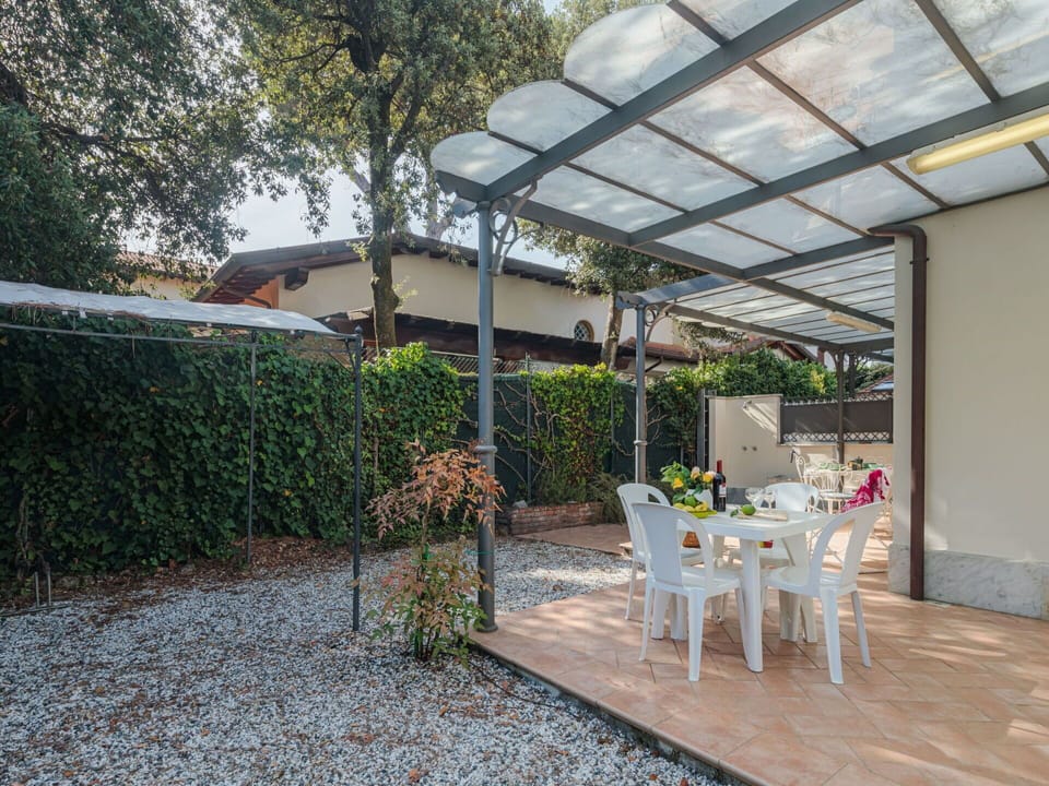 Plant, Furniture, Flower, Chair, Outdoor Furniture, Shade, Table, Outdoor Table, Tree, Building