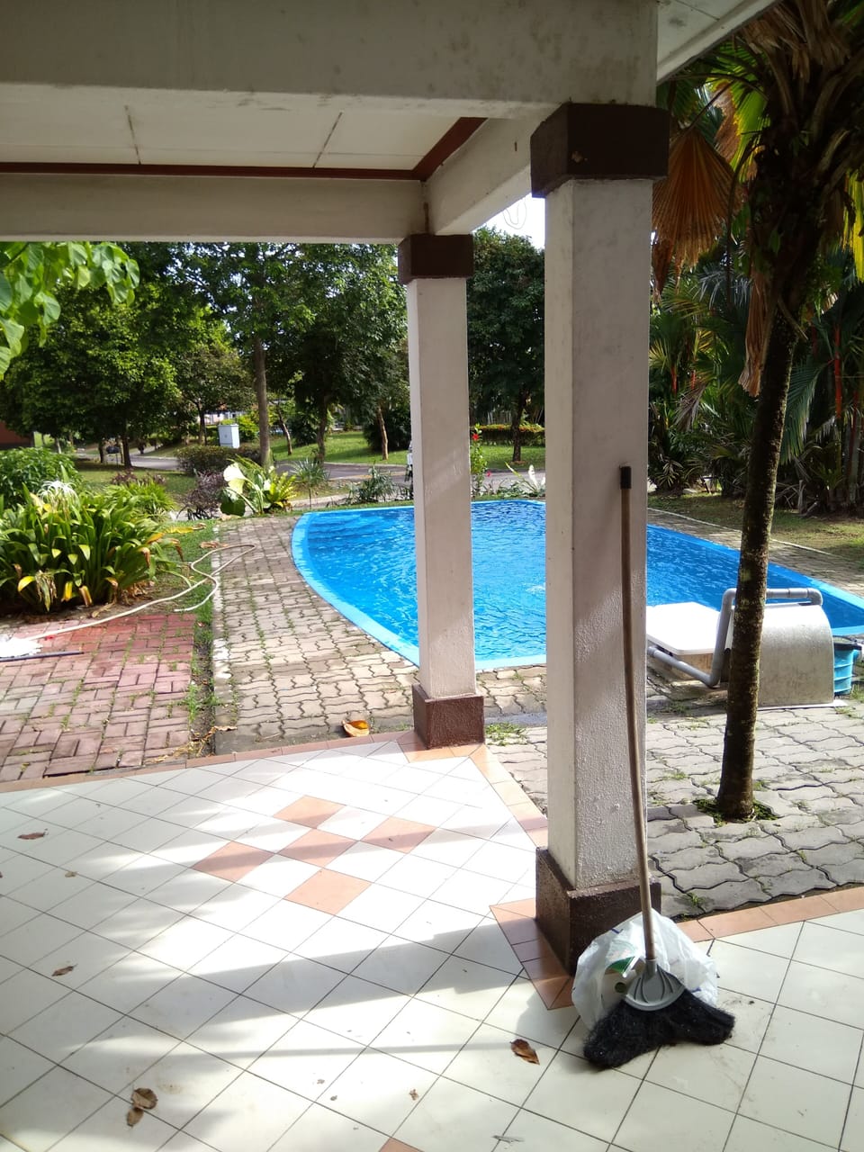 pool view