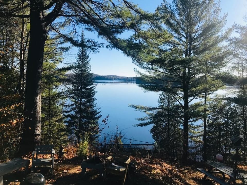View from the cottage